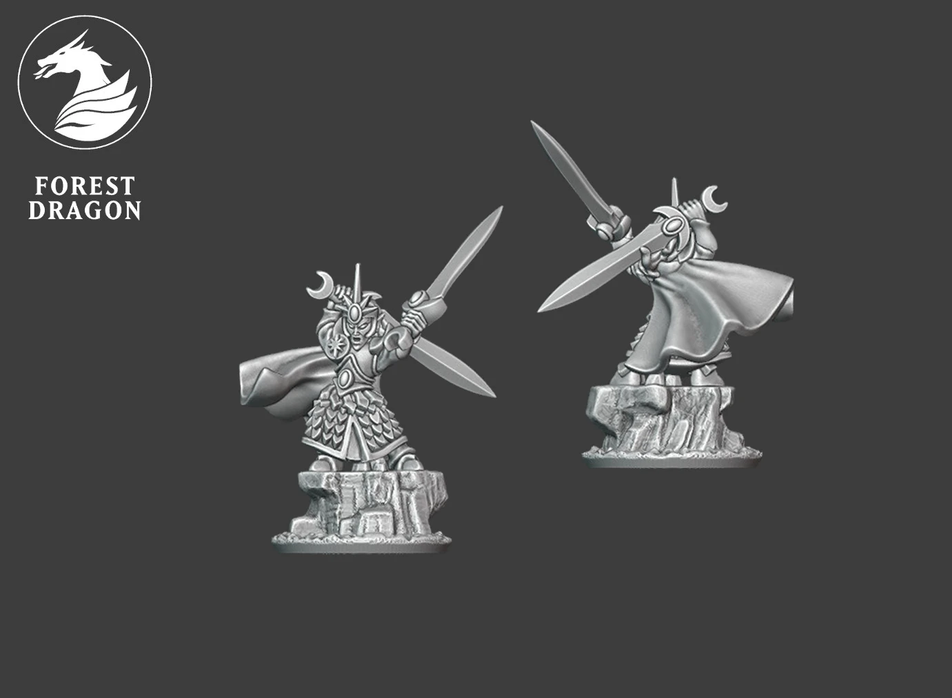 High Elf Hero on foot High Elf Hero on foot